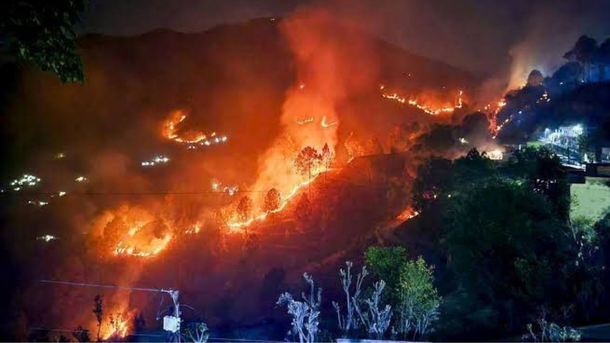 Uttarakhand: 8 Forest Fires Reported In Last 24 Hrs; NRDF Rushes To Aid