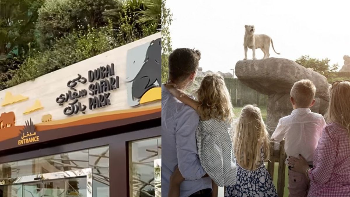 Now Save AED 90 On Dubai Safari Park Tickets With Cool Farewell Deal For Families