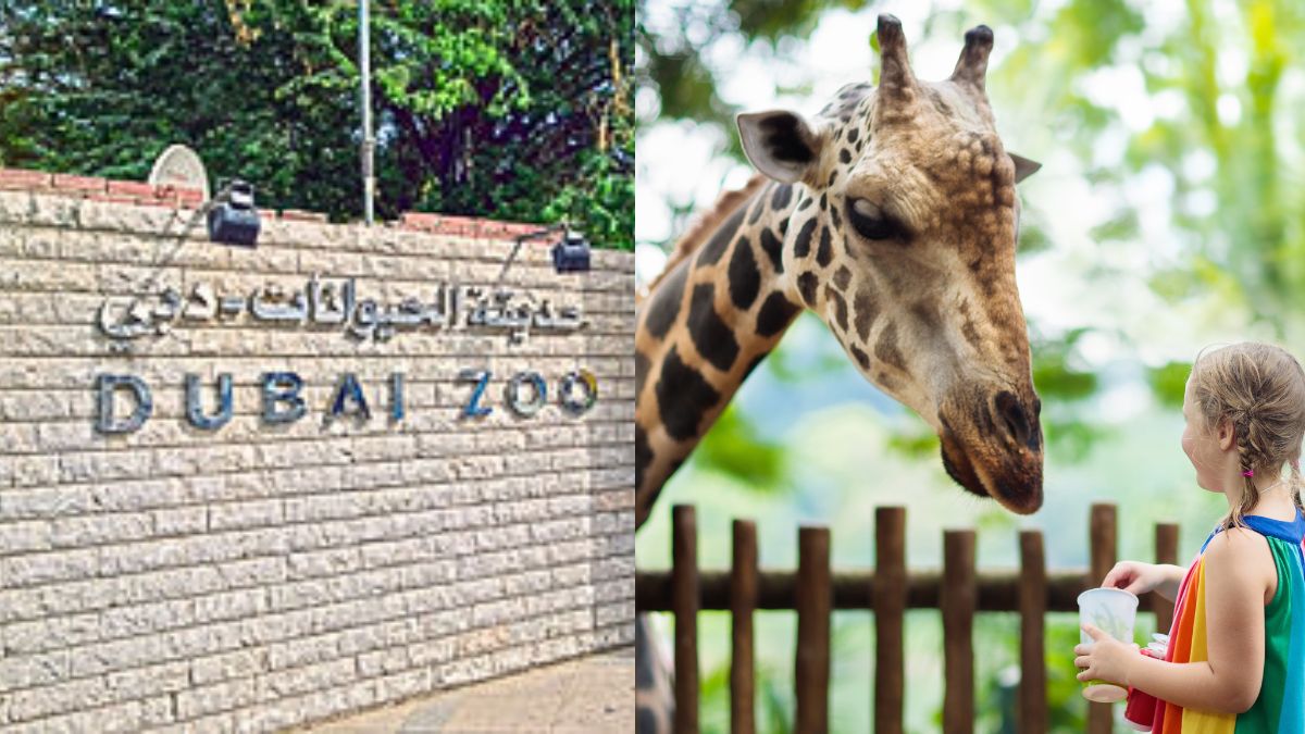After Closing Doors In 2017, 50-Yr-Old Jumeirah Zoo In Dubai To Finally Reopen This Year!