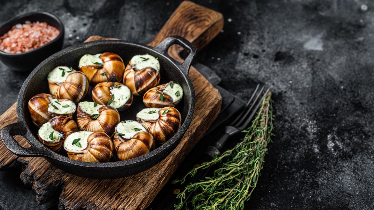 What Are Escargots, Its Benefits And Where In Dubai Can You Relish It?