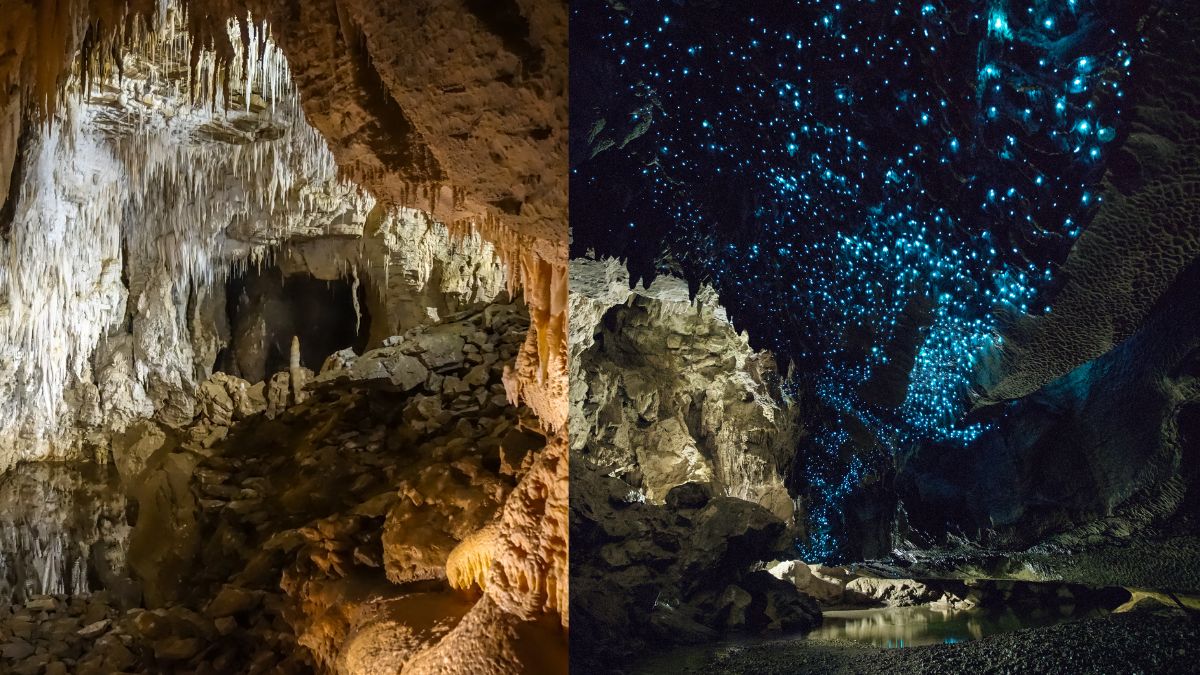 New Zealand’s Waitomo Glowworm Caves Are Unique Nature’s Wonder That Glow In The Dark