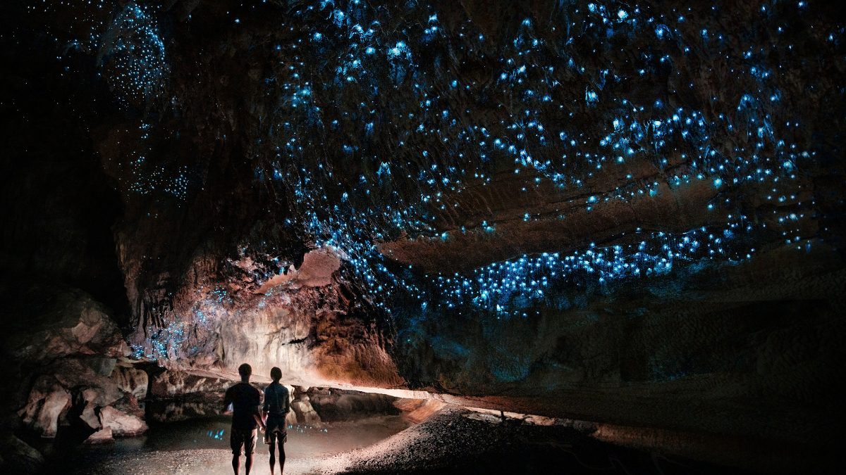 From Alabama To Australia, 6 Top Places In The World For Spectacular Glow Worm Sightings