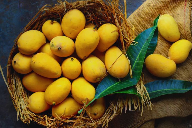 Illegal Transportation Of Mangoes