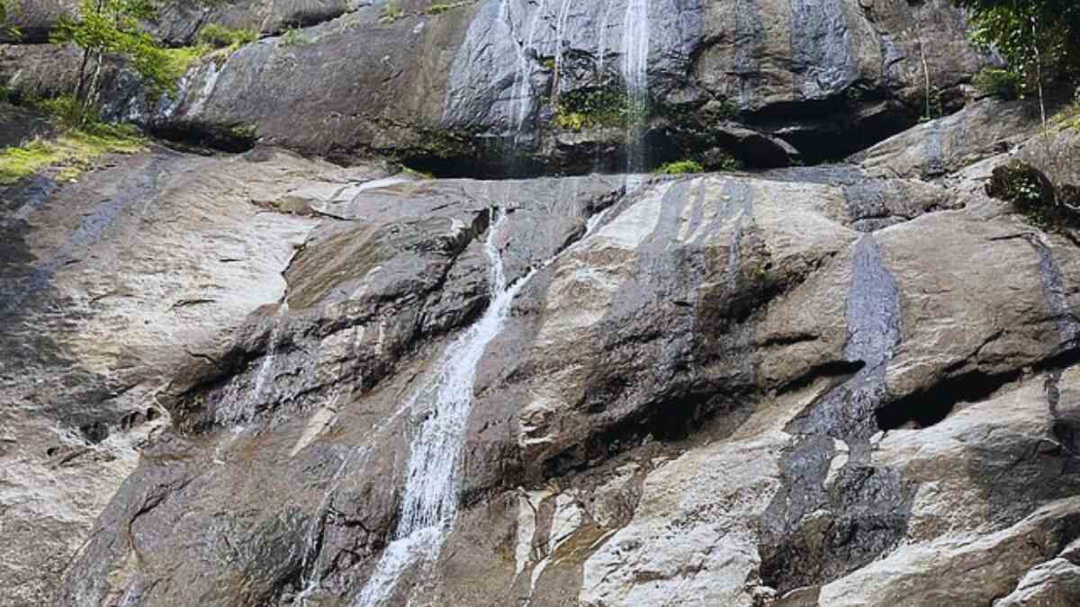 Kerala: Soaring Temperature Dries Up The Famous Thusharagiri Waterfall; Impacts Tourist Footfall