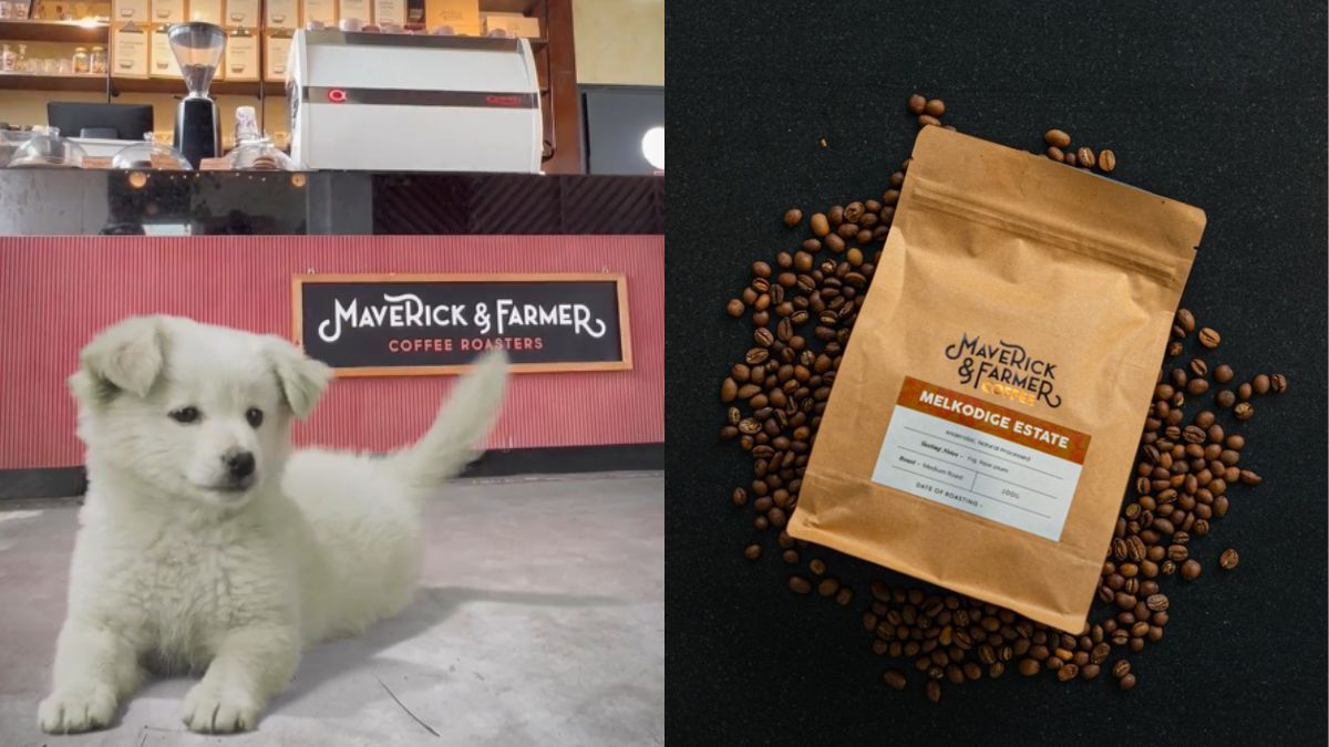 This Bengaluru Coffee Brand Has Introduced Healthy Dessert For Your Furry Babies, Get Them A Pup Cup