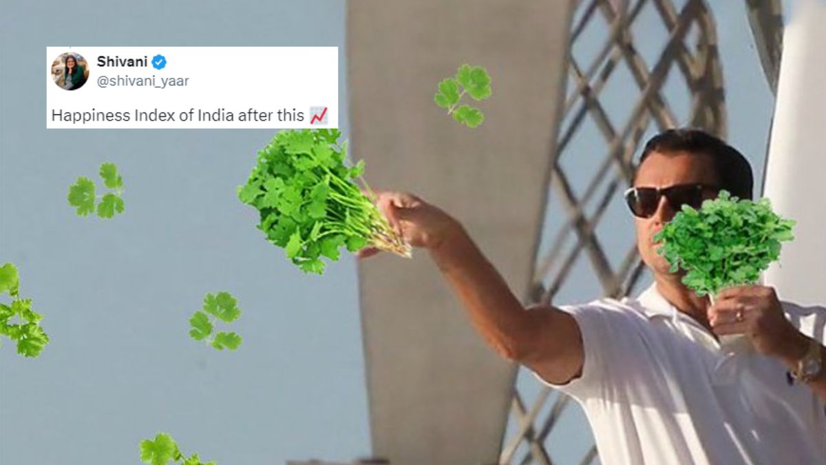 Moms Everywhere Are Happy As Blinkit Gives Free Dhaniya With Veggies; Netizens Share Memes On Viral Offer
