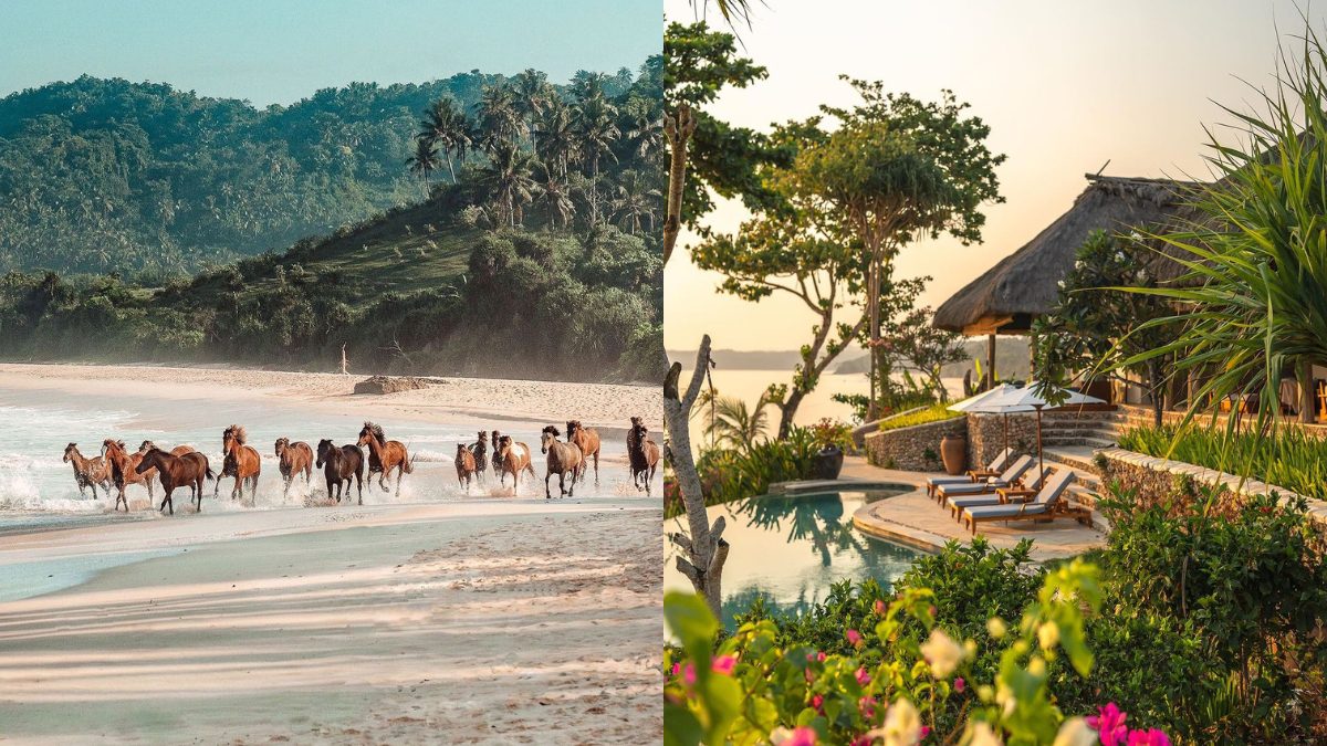 There Is An Island Resort In Indonesia Where Horses Roam Free On Beaches Laid Out Right In Front Of You