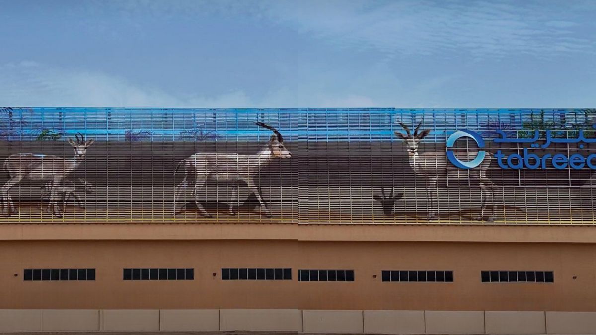 Tabreed Transforms Its Al Maryah Island Facility Into A 3D Street Art, Thanks To The 6 Artists!