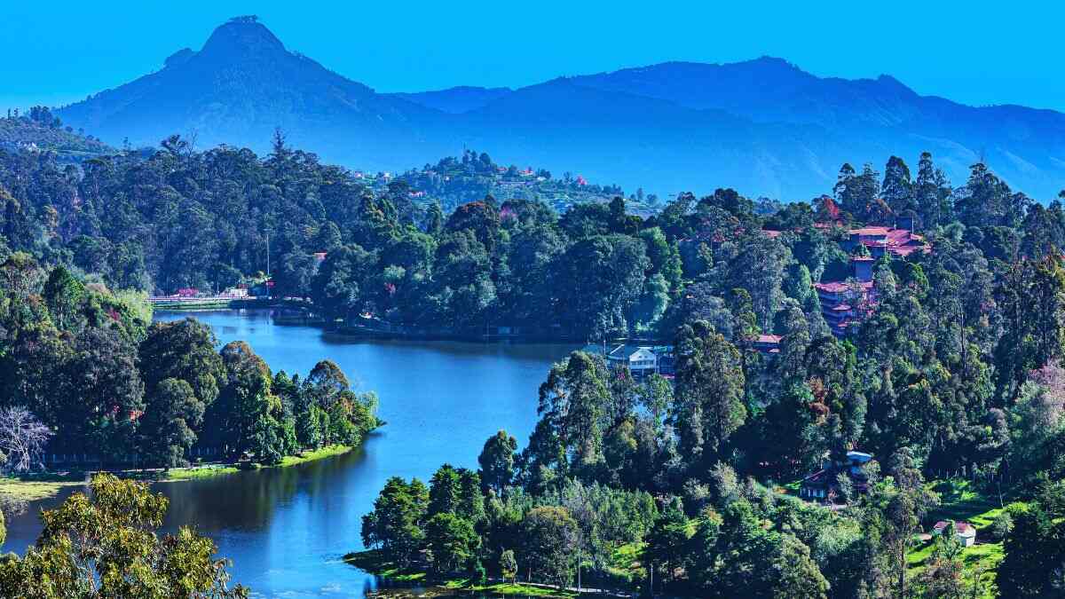 Travelling To Ooty & Kodaikanal? Here’s A Step-By-Step Guide To Get The Mandatory E-Pass