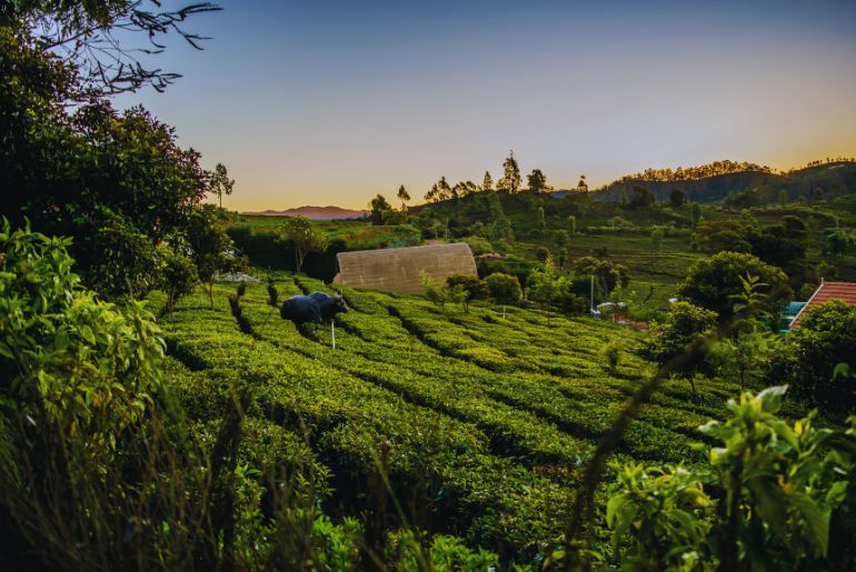 E-pass Ooty Kodaikanal