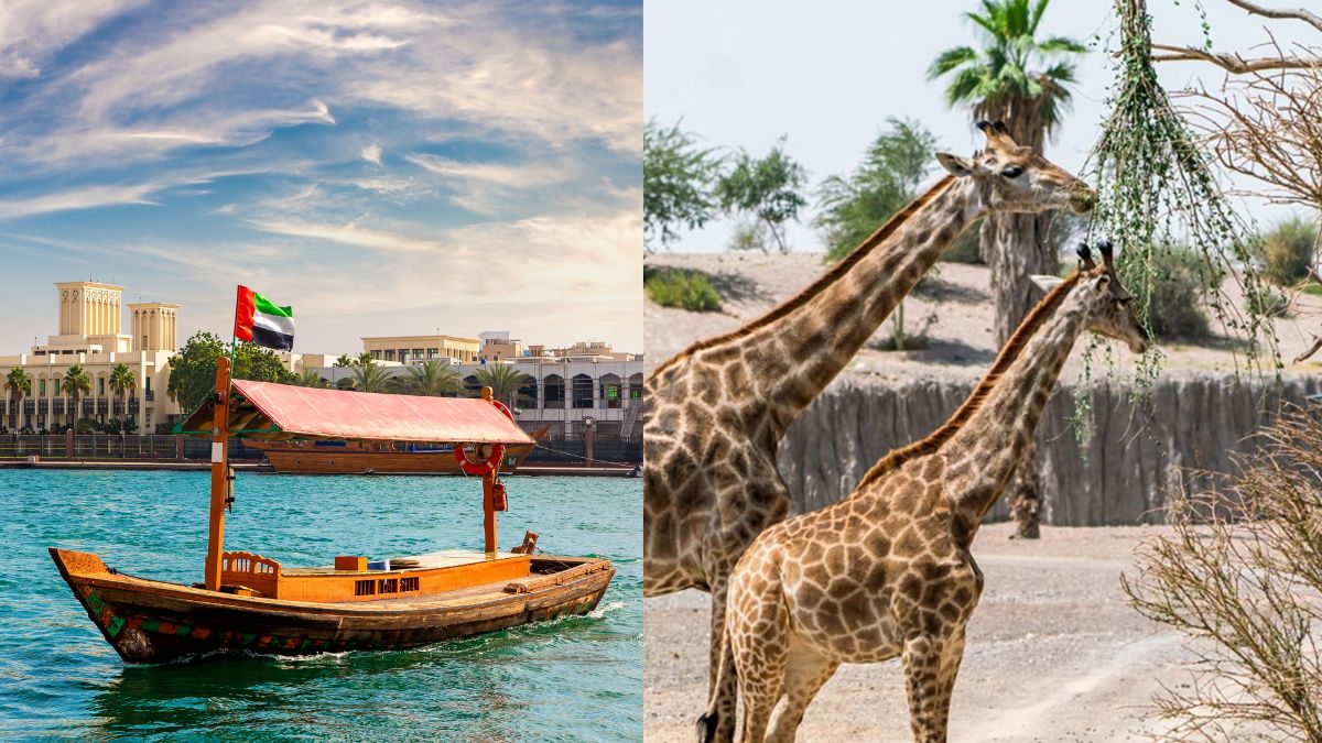 From Food Delivery Through Abra To New Safari Resorts, 5 UAE Updates For You