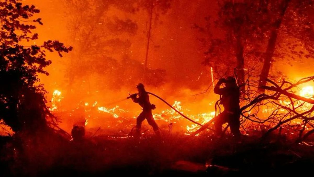 Uttarakhand: Incidents Of 24 Forest Fires Reported In Past 24 Hours; Blaze Claims 5 Lives
