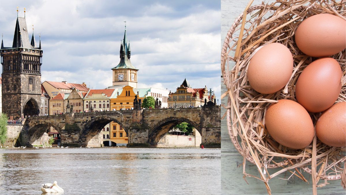 A Bridge Built On Eggs? The Curious Construction Tale Of Prague’s Charles Bridge!