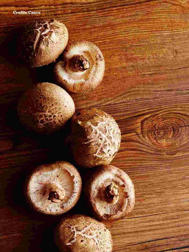 6 Benefits Of Eating Shiitake Mushrooms