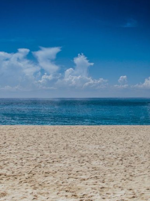 These Are The 6 Jellyfish Prone Beach Places In India