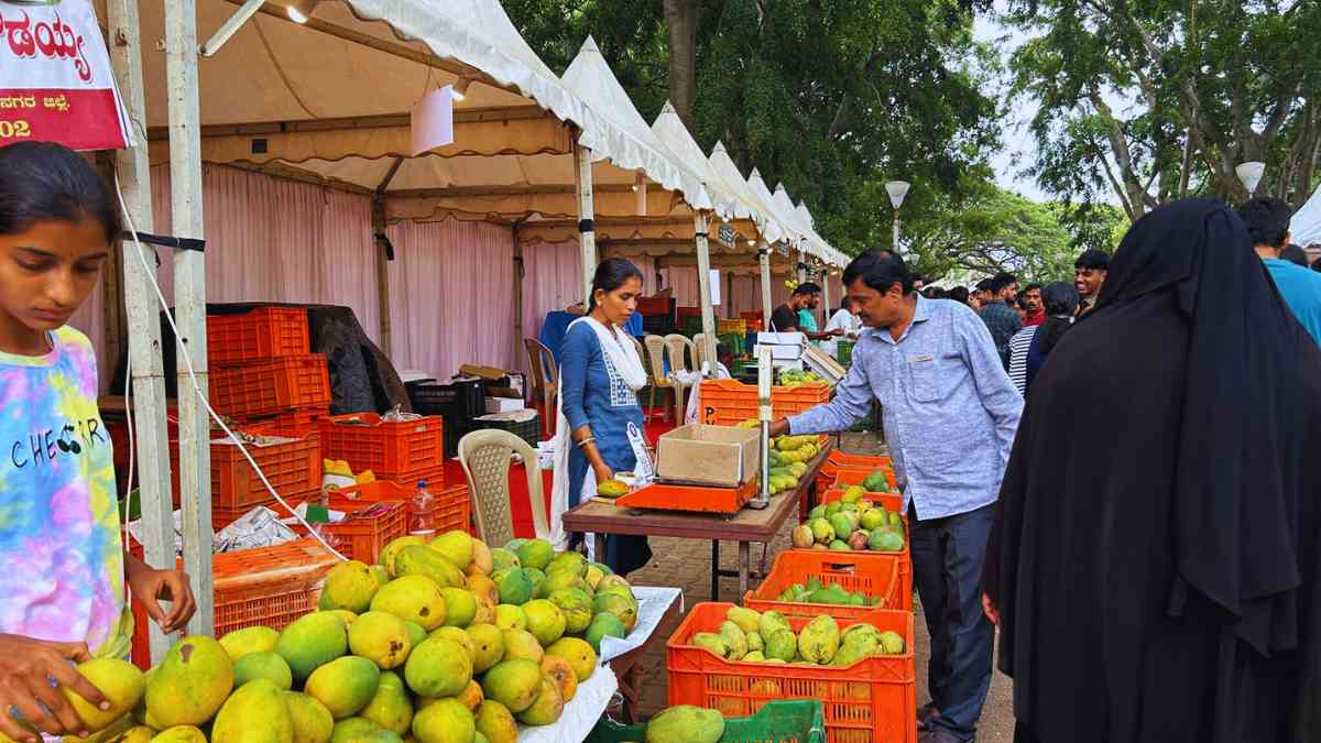 Lalbagh Is Back With Bengalureans’ Fav Mango Mela! From Dates To Mango Varieties, Here’s What You Need To Know