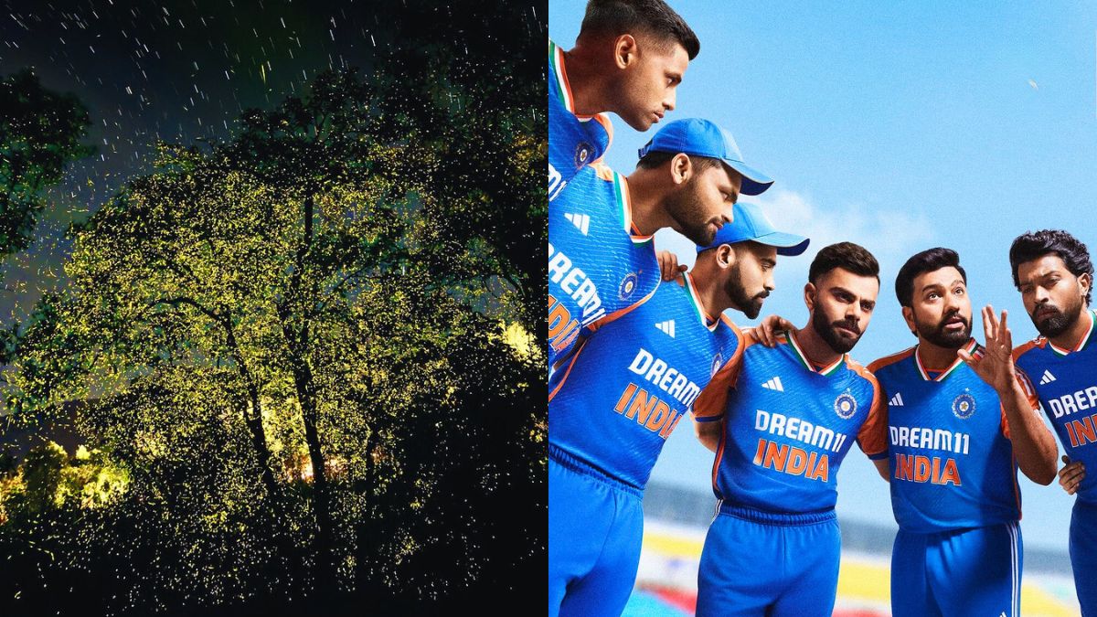 From Fireflies Festival 2024 To IND V/S PAK World Cup Screening, 8 Upcoming June Mumbai Events To Attend