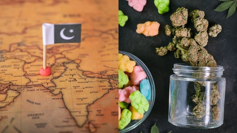 pakistan marijuana