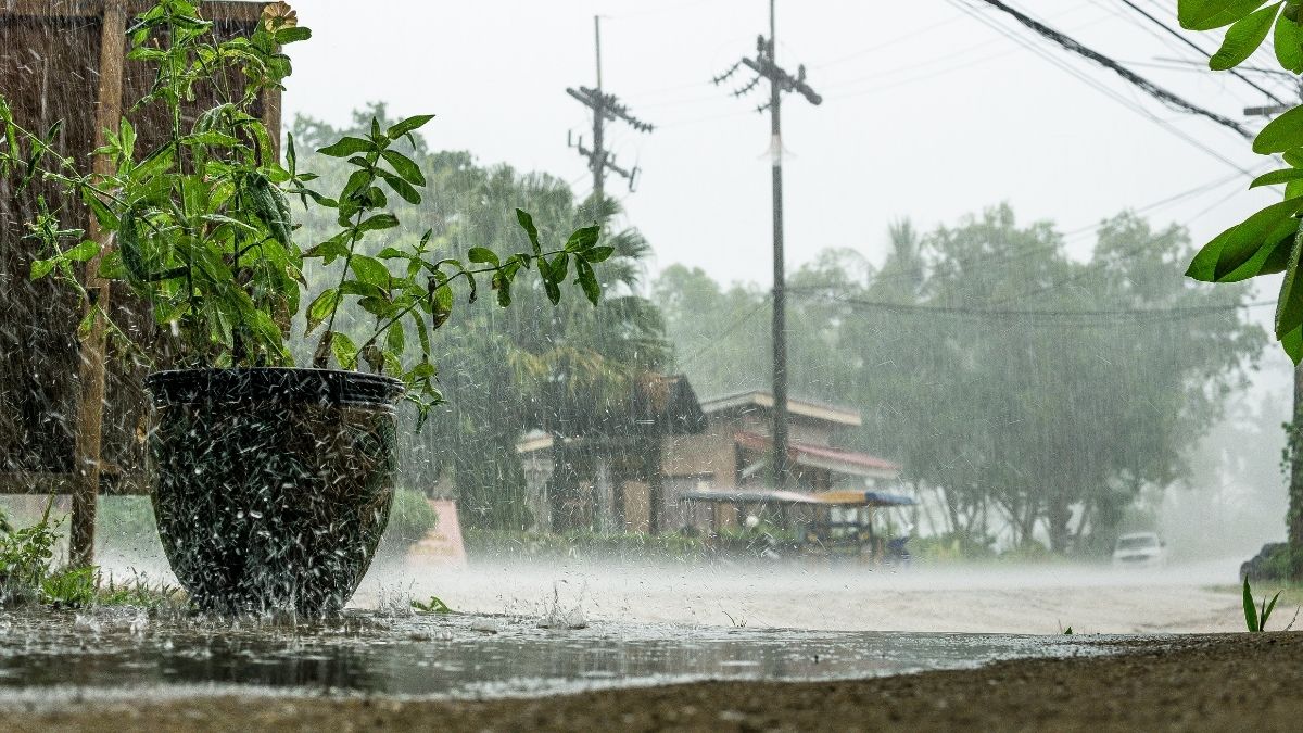 IMD Predicts Rainfall & Thunderstorms In UP, Punjab, Haryana & More Till May 16