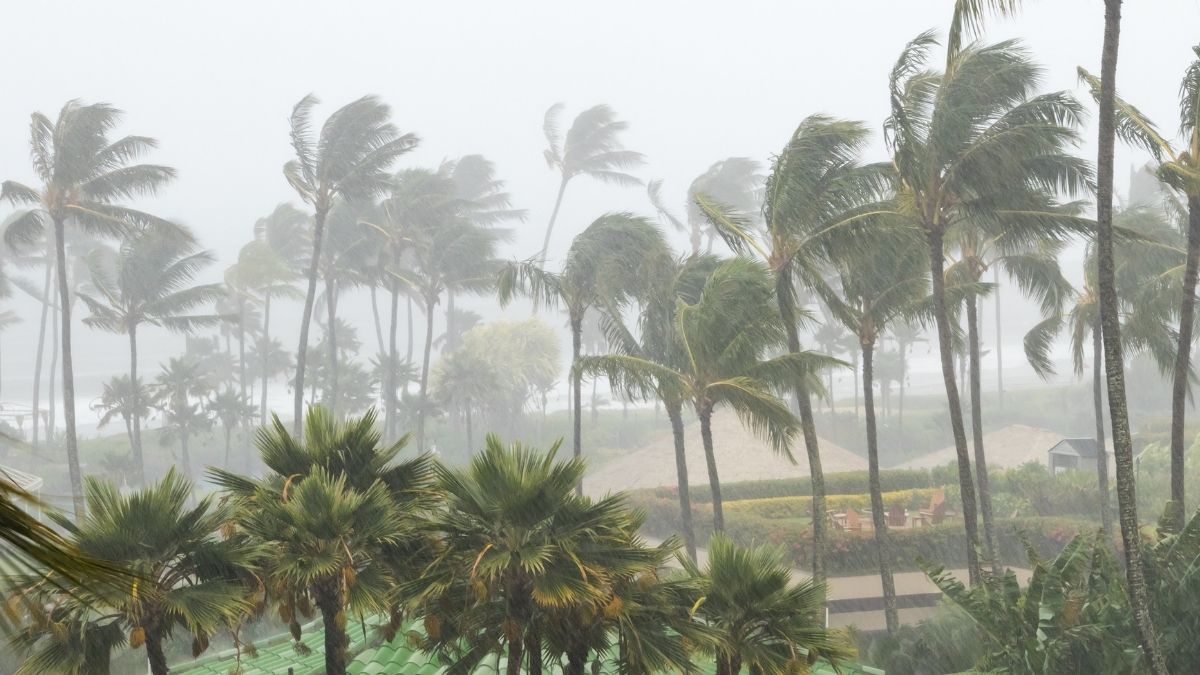 Cyclone Remal: Chilling Visuals Of It Making Landfall; Here Are The Latest Updates