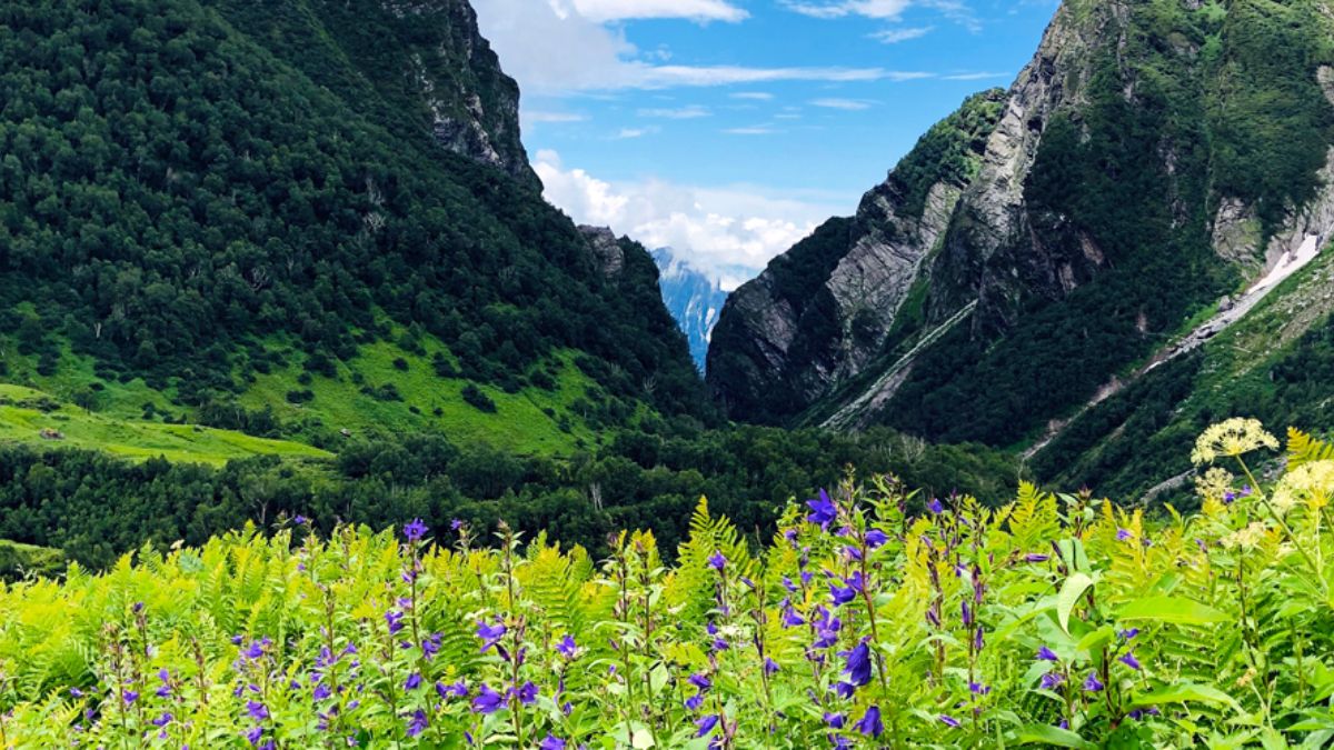 Uttarakhand’s Valley Of Flowers Is Opening From June 1st! Get Ready To Immerse In The Floral Beauty