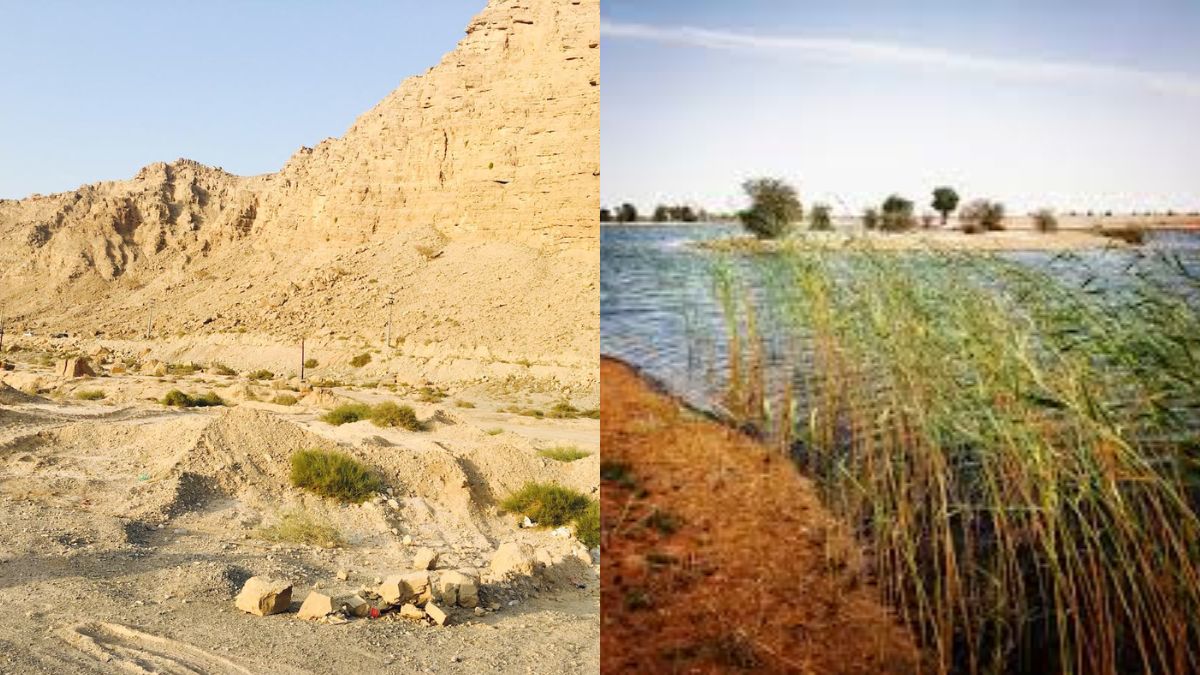 MoCCAE Recognises These 9 Key Biodiversity Areas In The UAE; Details Inside