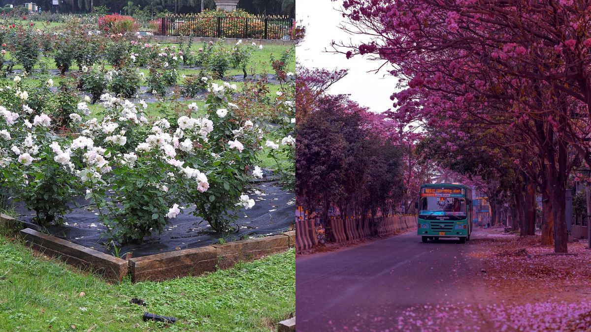 Ever Wondered How Bengaluru Came To Be The ‘Garden City Of India’? Here’s The Story Behind It!