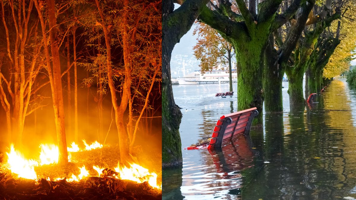 Europe’s Summer Of Extremes: From Wildfires To Floods, What Has Led To This Climatic Chaos?