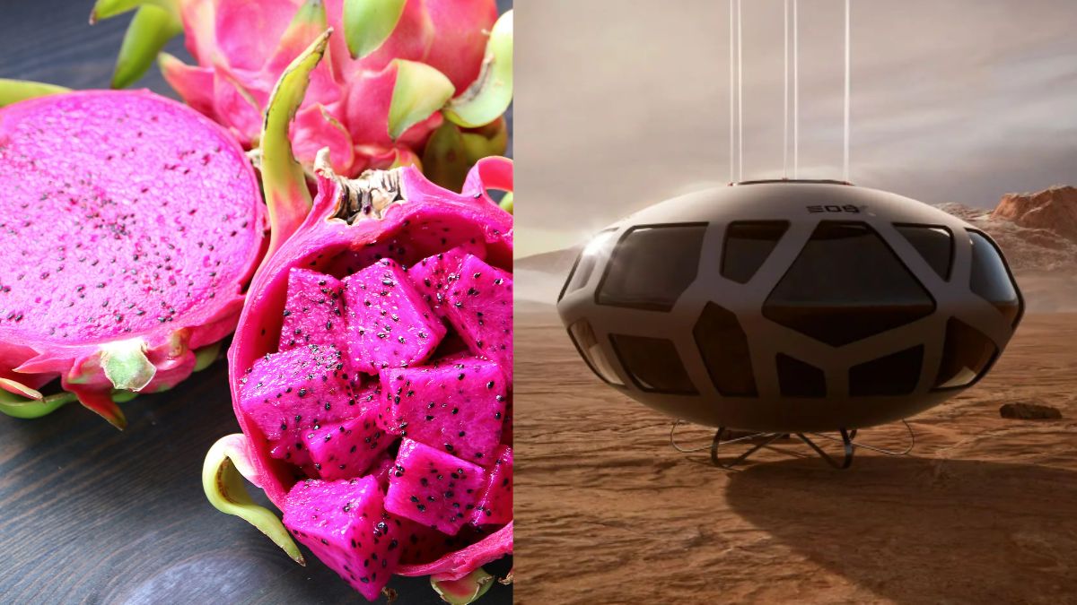 From Vietnam’s Dragon Fruit In Saudi Arabia To Launch of Space Flights From Abu Dhabi, 6 GCC Updates For You