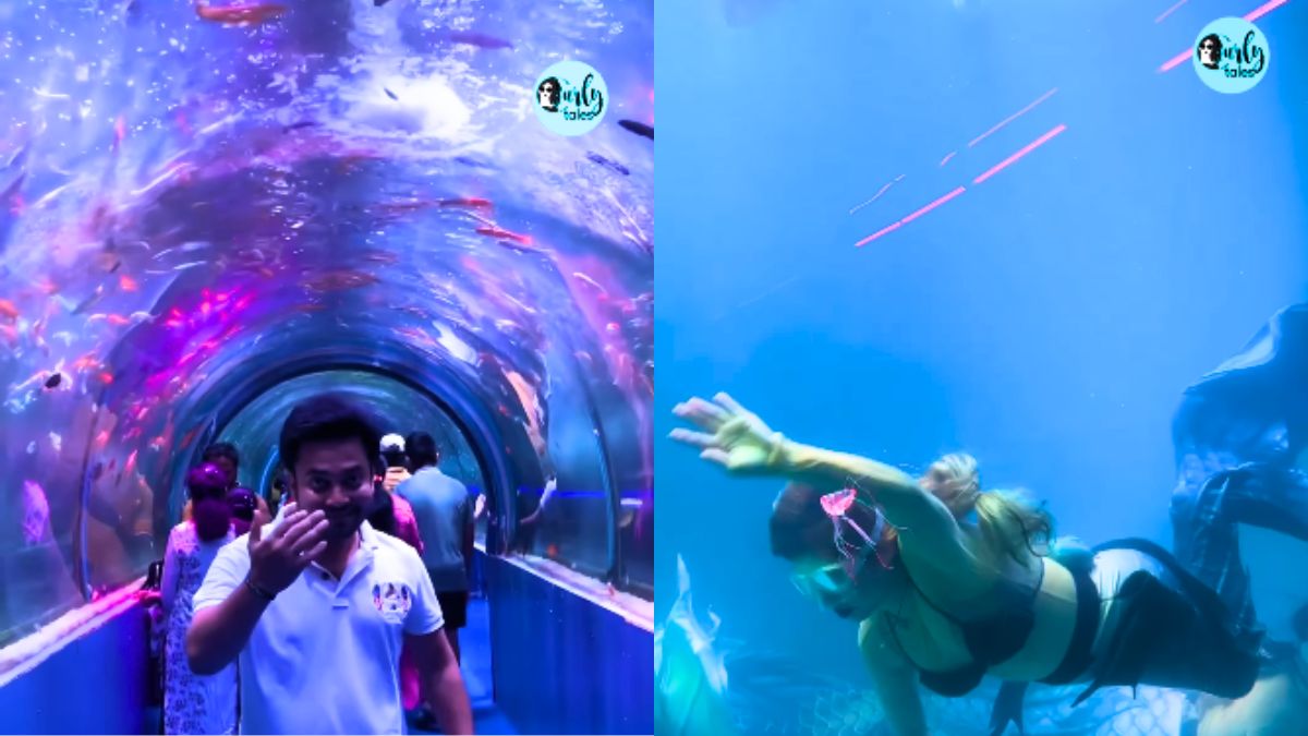 Hyderabad Gets An Indoor Scuba Diving Show & Underwater Tunnel For Just ₹150!