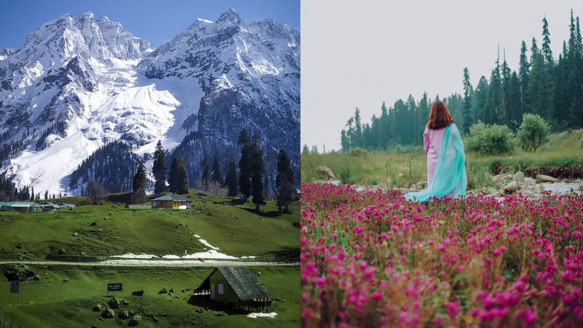 With Almost All Bloggers, Influencers In Kashmir, What Has Led To Its Surge In Tourism?