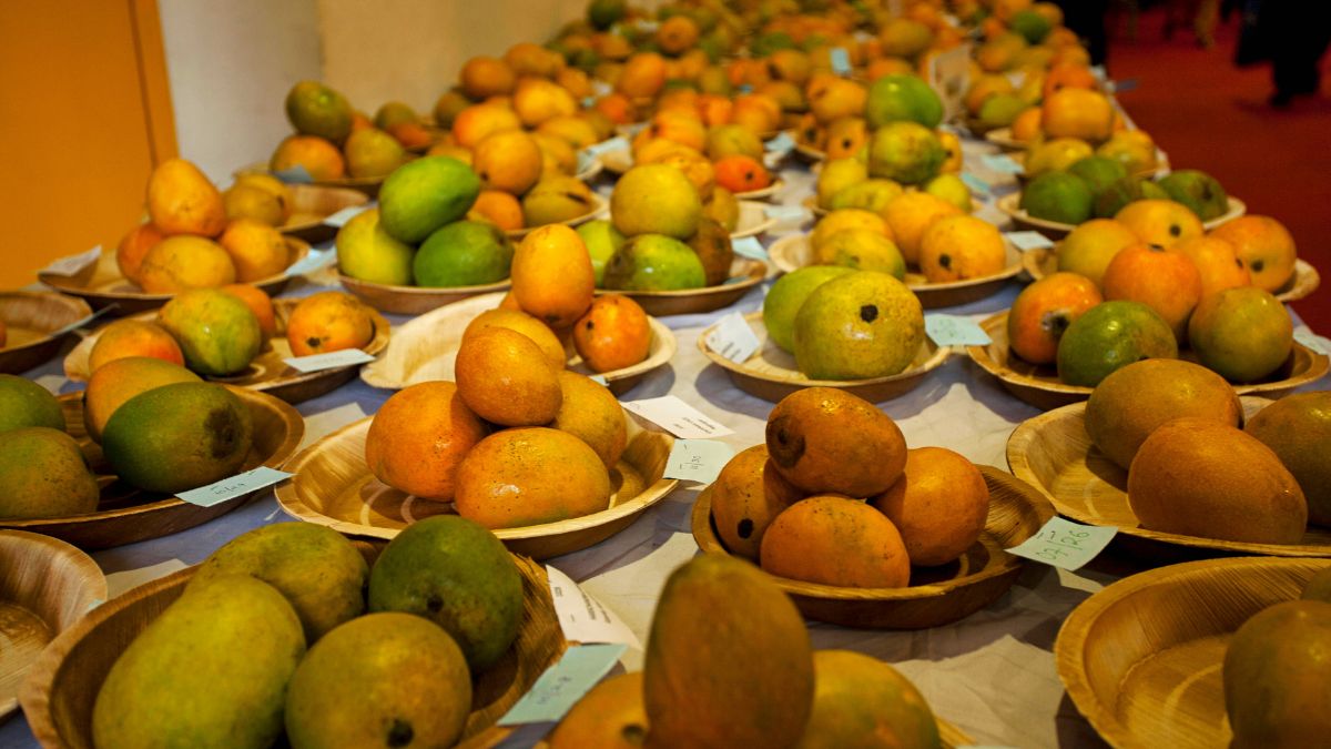 Mango Festivals Make Their Way To The UAE As Varieties From Yemen, Pakistan & India Flood Markets