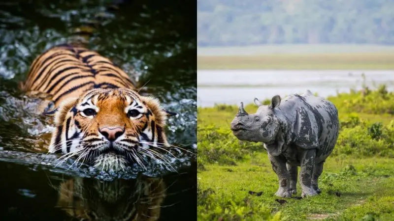 national parks monsoon