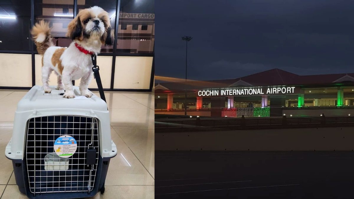 Luka Leads The Way As Kochi Makes History As First Kerala Airport To Fly Pets Overseas!