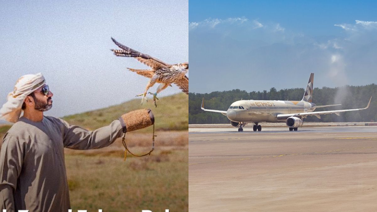 Sheikh Zayed Falcon Releasing 63 Falcons To New Etihad Airways Route; 5 UAE Updates For You