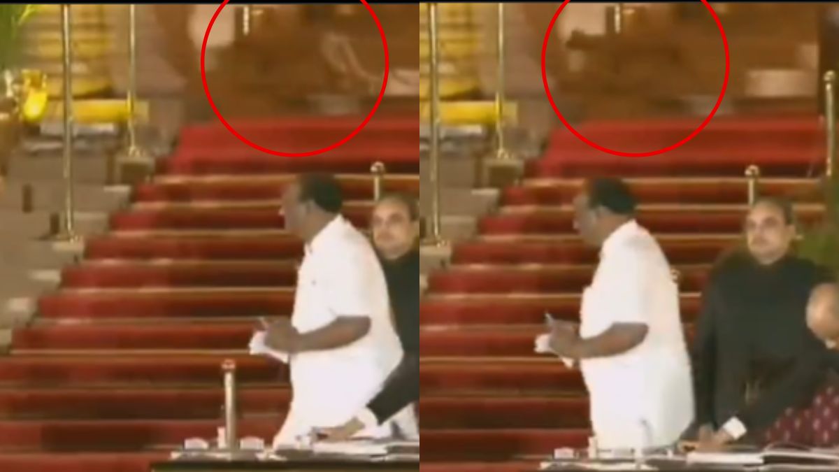“Mysterious” Animal Spotted At Rashtrapati Bhavan During Oath; Netizens Ask ‘Leopard Or Editing?’
