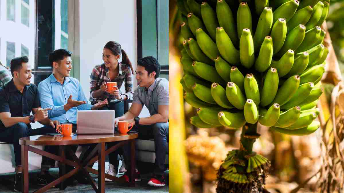 Why Are Employees In China Growing Bananas On Their Work Desks? Know About This Viral Trend Inside
