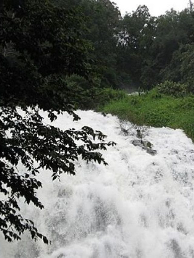 5 Popular Waterfalls To See In Arunachal Pradesh 5 Popular Waterfalls To See In Arunachal Pradesh