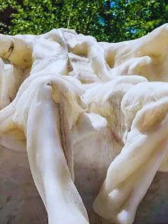 Abraham Lincoln Wax Statue In Washington DC Melts As Temperatures Soar In The USA Abraham Lincoln Wax Statue In Washington DC Melts As Temperatures Soar In The USA