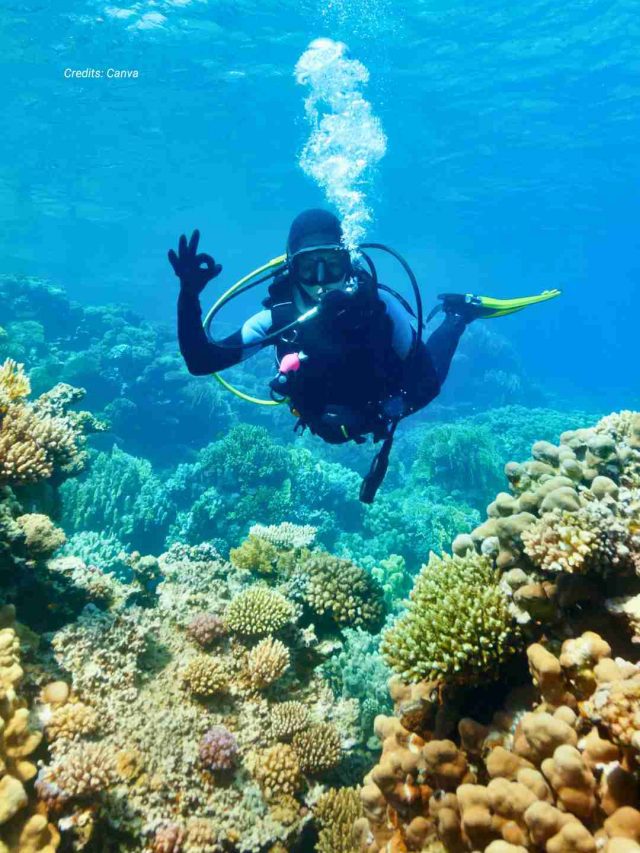 8 Best Scuba Diving Sites In India