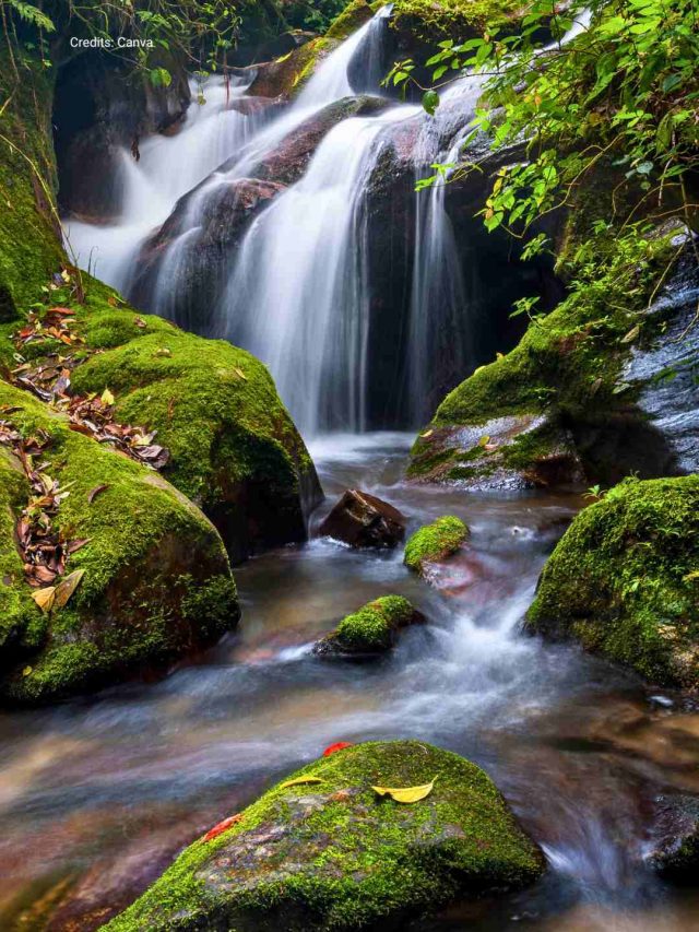 With North India Sizzling Up Like Never Before, Head To These 8 Cool Places In North East For Some Respite