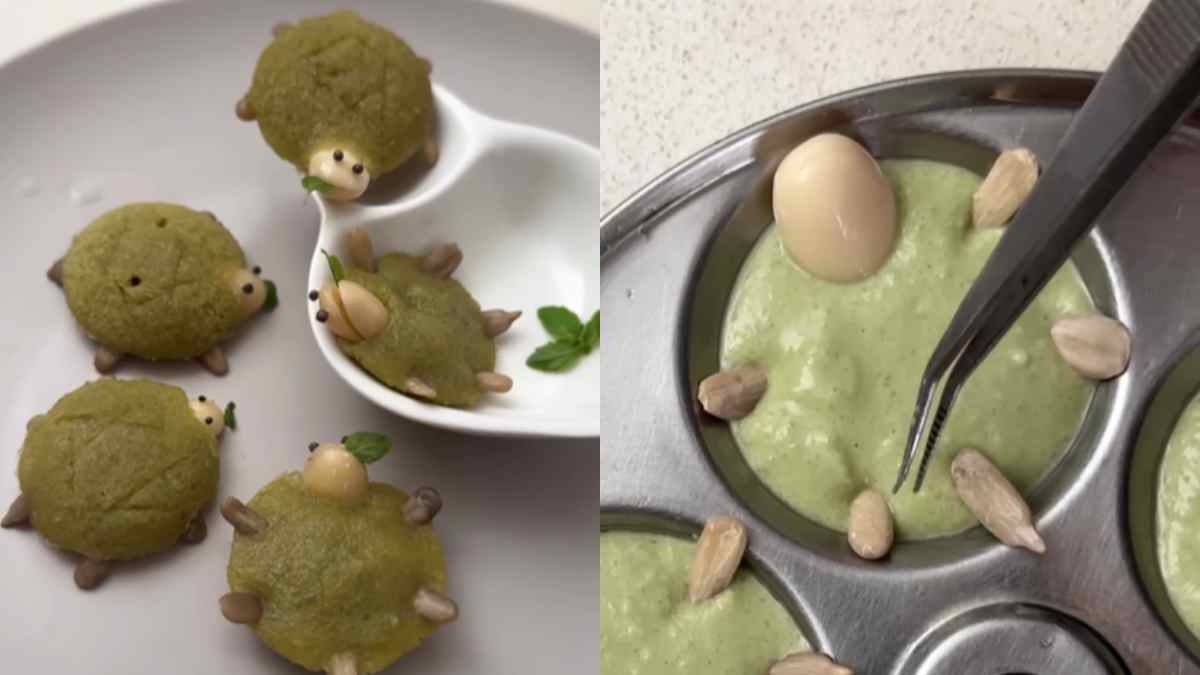 Turtle Idlis Made With Ajwain Leaves & Sunflower Seeds Create A Splash On The Internet; Netizens Call It “Adorable”