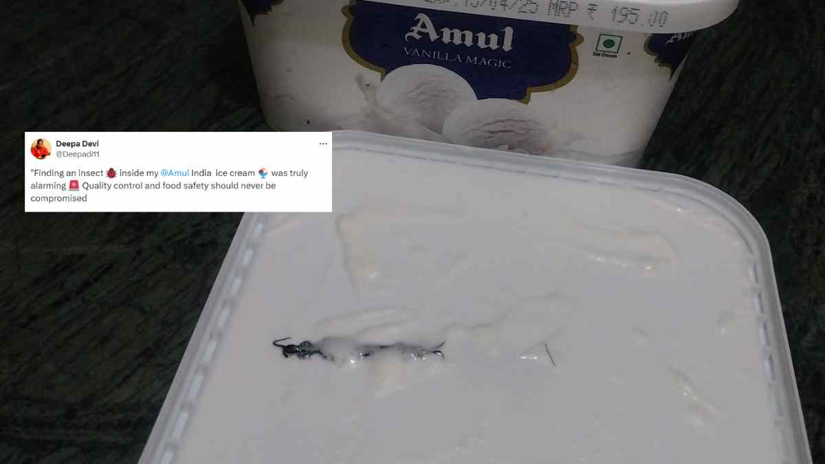 Noida Woman Finds Centipede In Amul Ice Cream Ordered On Blinkit; Netizens, “Amul Insect Free De Rahe Hai?”