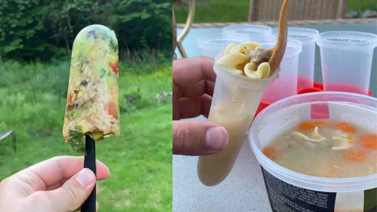 “Is This For Dogs?” Wonder Netizens After Man Makes Noodle Soup Popsicles With Meat & Veggies