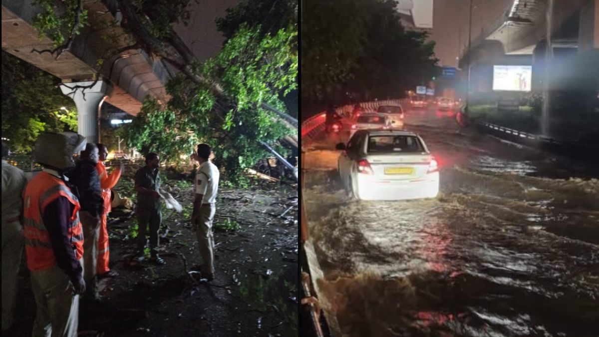 Karnataka: IMD Issues Yellow Alert As Thunderstorms And Rains Lash The State; Over 200 Trees Uprooted In Bengaluru