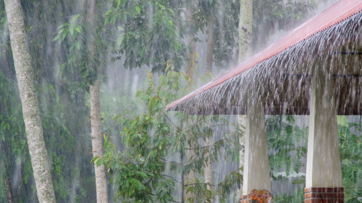 IMD Issues Yellow Alert For Delhi, Maharashtra At High Risk For Extremely Heavy Rainfall; Check All Weather Updates Here