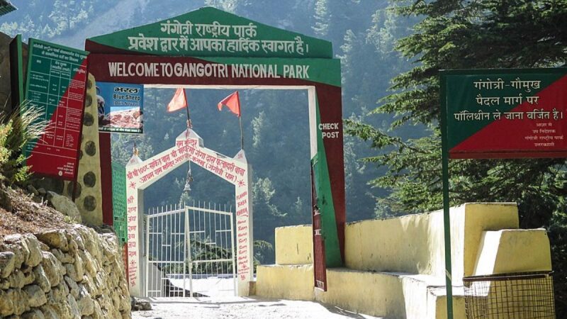 Gangotri National Park Gomukh
