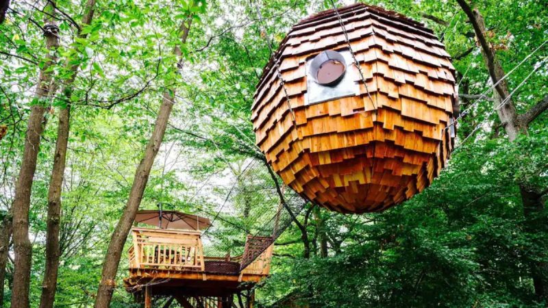 Just 1 Hr Away From Paris, Stay In A Pine-Shaped Treehouse Suspended 4 Metres In Air