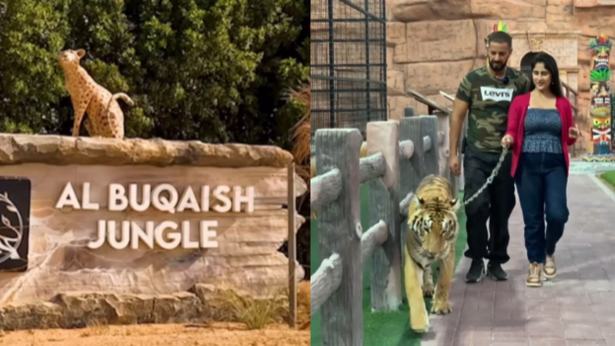 Want To Walk A Cheetah Or Pet A Snake? ALBUQAISH Private Zoo In Dubai Is The Perfect Place To Do So