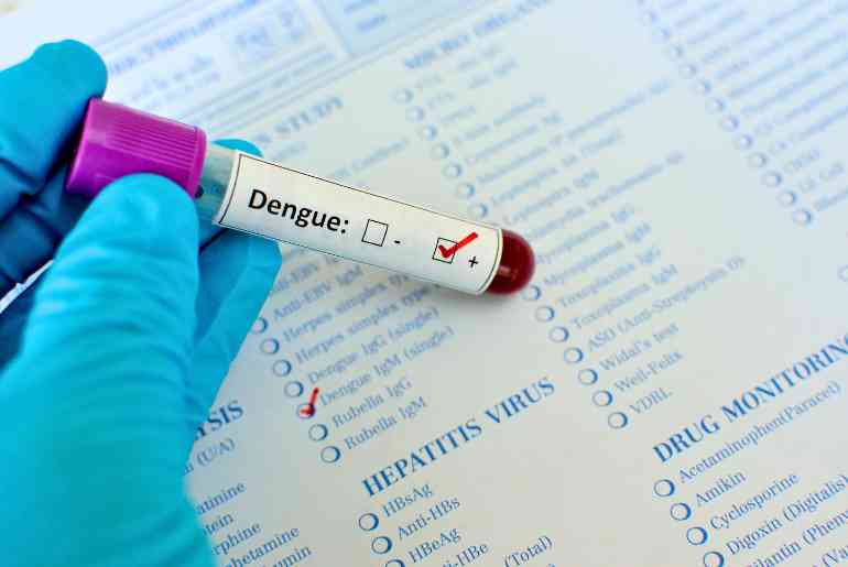 Bengaluru dengue 